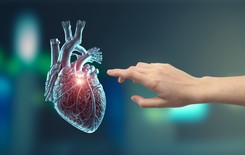 Co ty wiesz o ludzkim sercu? Quiz bardzo walentynkowy