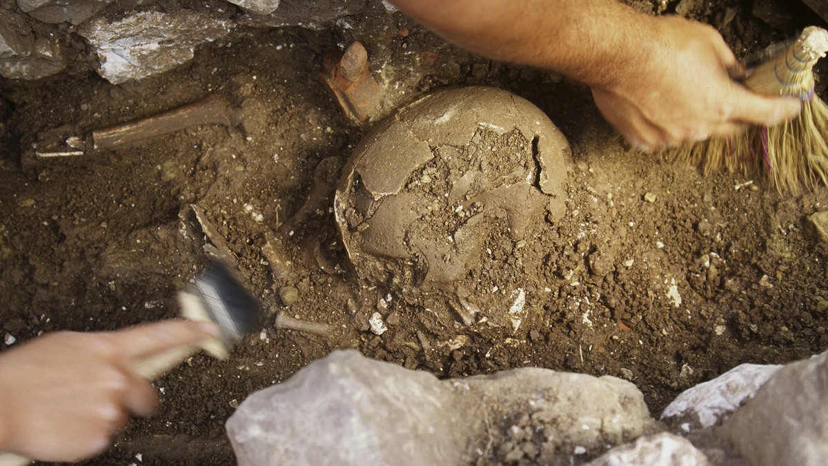 W podgliwickim Pniowie zakończyły się badania archeologiczne, podczas których archeolodzy z Muzeum w Gliwicach natrafili na ślady siedziby zamieszkiwanej przez lokalnych posiadaczy ziemskich w XIV i XV wieku.