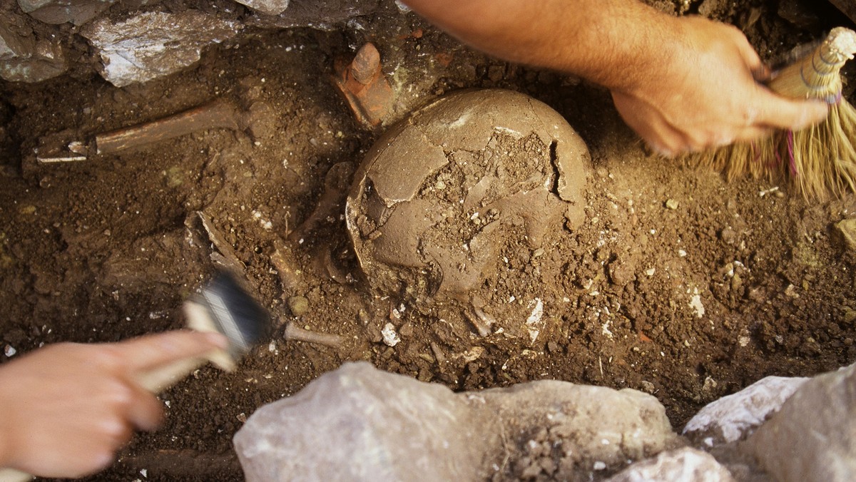 W podgliwickim Pniowie zakończyły się badania archeologiczne, podczas których archeolodzy z Muzeum w Gliwicach natrafili na ślady siedziby zamieszkiwanej przez lokalnych posiadaczy ziemskich w XIV i XV wieku.