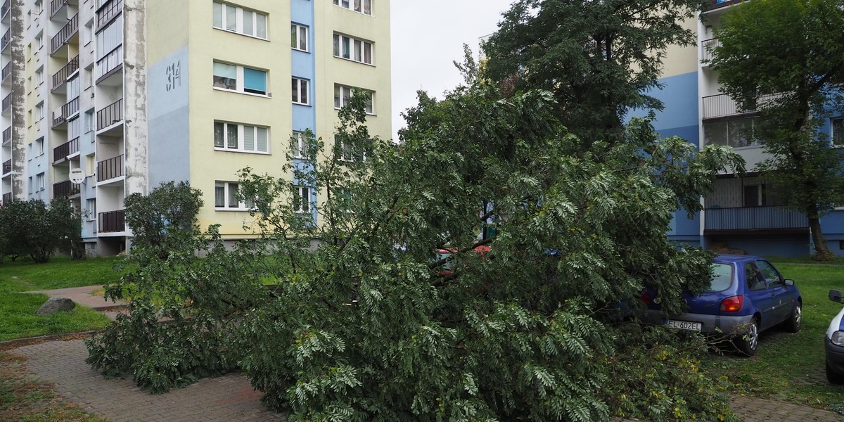 Uwaga! Ostrzeżenia przed silnym wiatrem. Gdzie mocniej powieje?