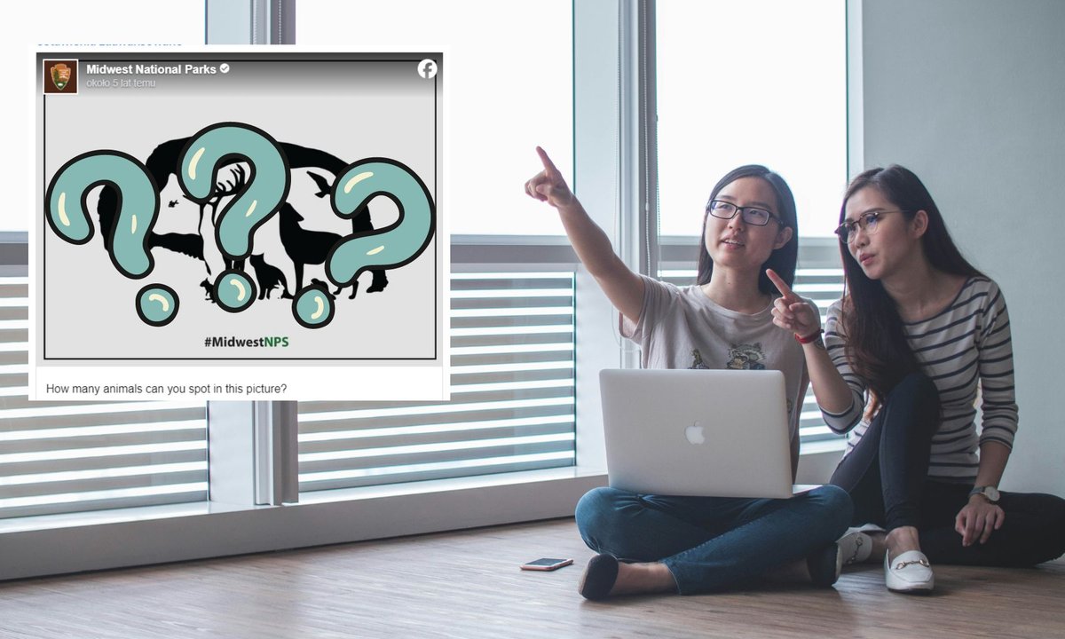 Ile zwierząt widzisz na obrazku? Tylko 1 proc. ludzi dobrze je policzyło