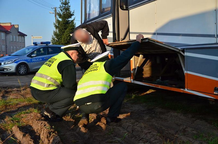 Policjanci kontrolowali autobusy