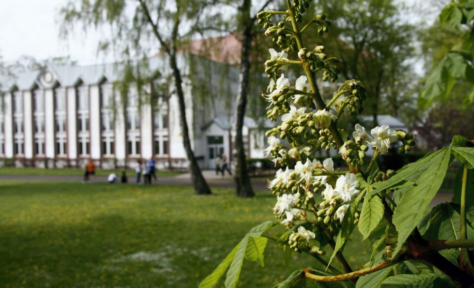 GORZÓW WIELKOPOLSKI MATURA 2010 KASZTANY