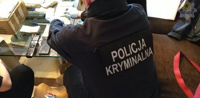 Handlowali nielegalnymi anabolikami i lekami na potencję. Policjanci z Pomorza rozbili gang