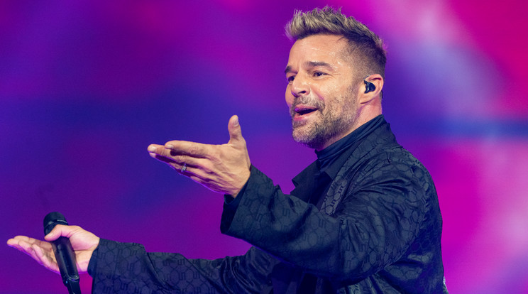 Unokaöccse feljelentette Ricky Martint / Fotó: Northfoto