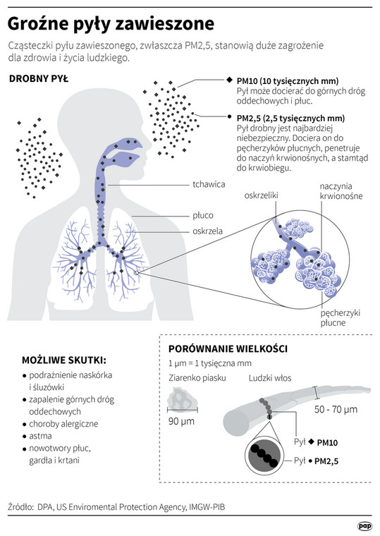 Wpływ smogu na zdrowie człowieka