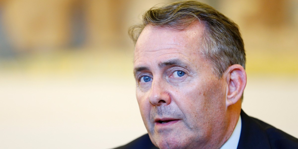 Liam Fox admits UK doesn't have the 'capacity' to strike international trade deals