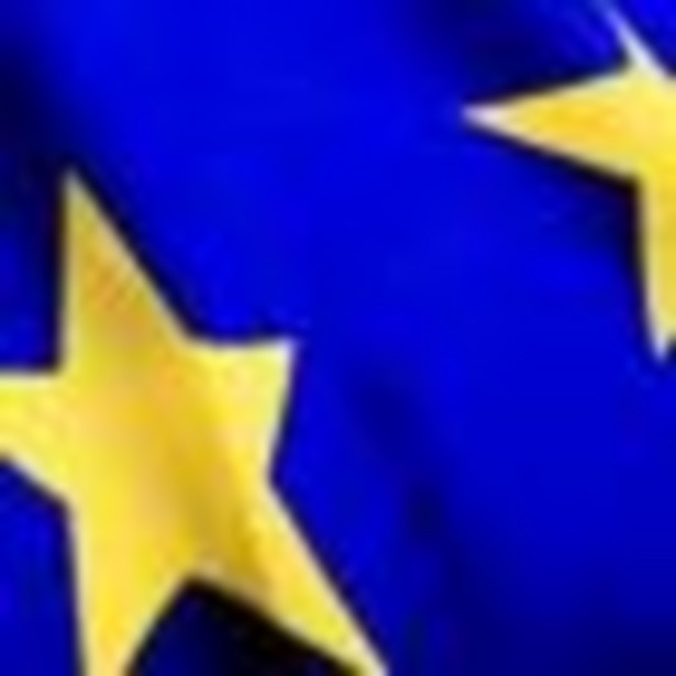 Projekt, który zainicjowała UE, w Polsce realizuje m.in. Ministerstwo Edukacji Narodowej i ma zakończyć się - zgodnie z zaleceniem Parlamentu Europejskiego - w 2012 r.