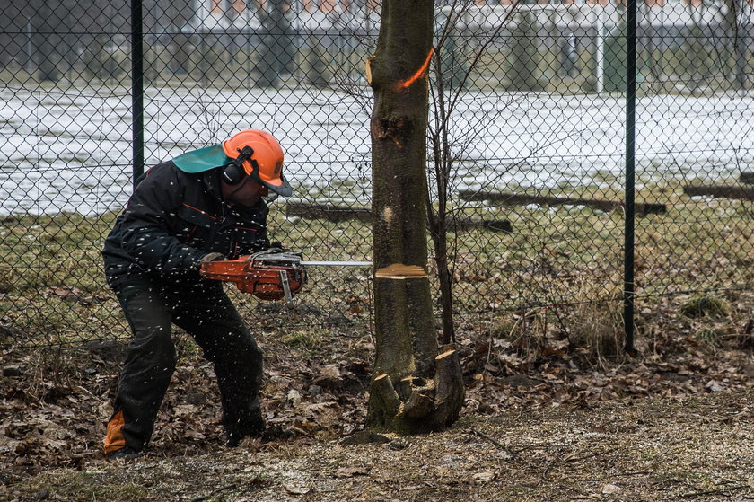 Ruszają prace w przyszłym Parku Rataje