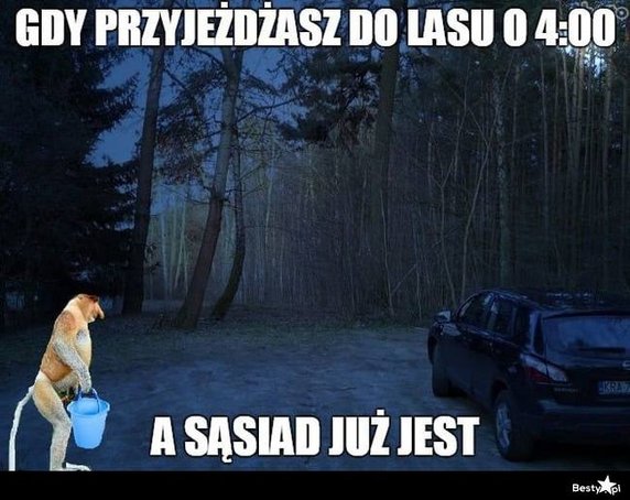 Sezon na grzyby rozpoczęty