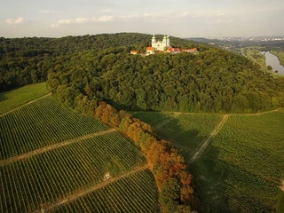 Winnica Srebrna Góra, fot. mat. prasowe