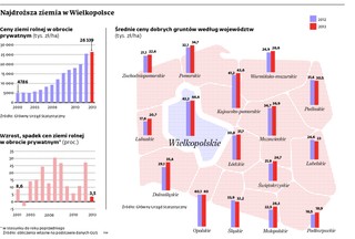Polska ziemia droższa niż we Francji i w Szwecji, lecz wzrost cen przyhamował
