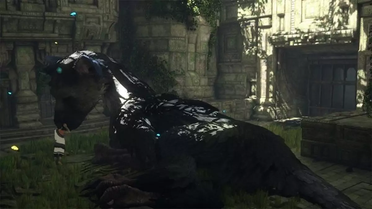 The Last Guardian na Tokyo Game Show? Wygląda na to, że twórcy coś szykują