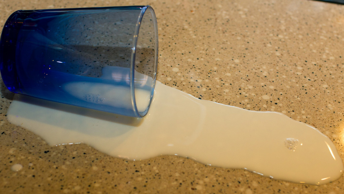 Mleko wspomaga czy rujnuje zdrowie? Najnowsze badania sugerują, że jednak lepiej mleka nie pić. Jego obecność w diecie może bowiem osłabić kości. Czyżby popularne niegdyś powiedzenie "Pij mleko, będziesz kaleką" znów było aktualne?