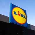 Lidl rusza z nową promocją 2+1. Sprzedają ubrania za grosze. Dosłownie