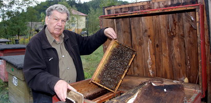 Sąd nakazał zabić pszczoły. Jest skarga w obronie owadów