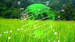 Zrównoważony rozwój w centrum uwagi – nowe wyzwania i strategie dla firm