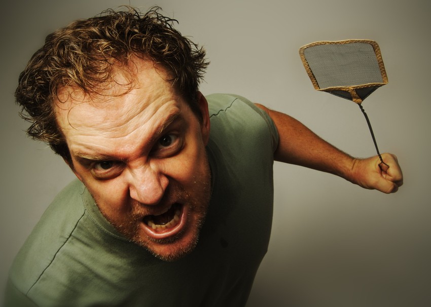 U blizini osa ne pravite nagle pokrete