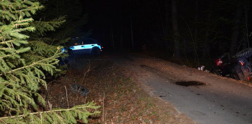 Najpierw ryk, potem nagła cisza. Nocna tragedia w środku lasu