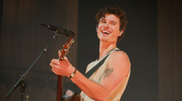 Shawn Mendes hét éve Magyarországon jött rá, hogy a világ legjobb munkáját végzi