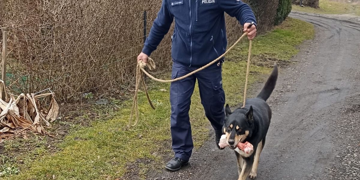 Psu pomogli policjanci. 