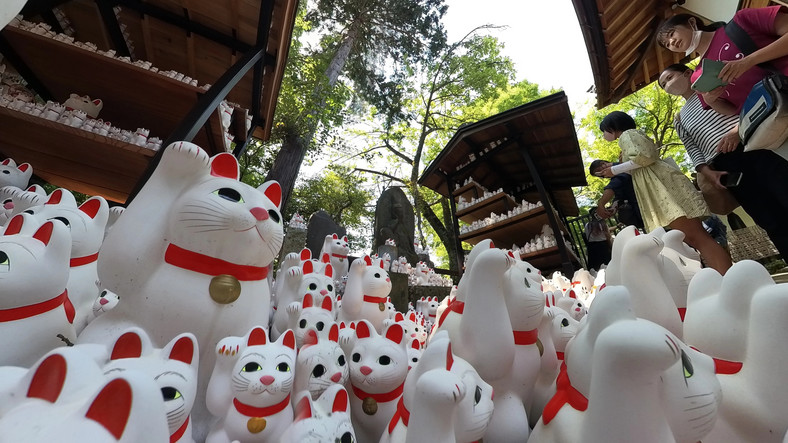 Maneki-neko, "machający kot" szczęścia w świątyni Gotokuji, Tokio