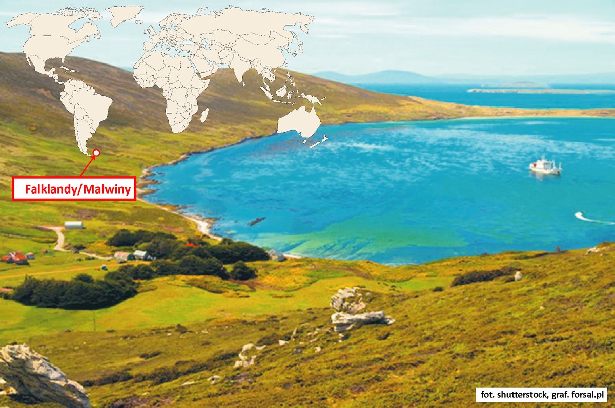 1. Falklandy Malwiny