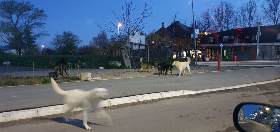 Neki sklonjeni, ali su građani i dalje u strahu