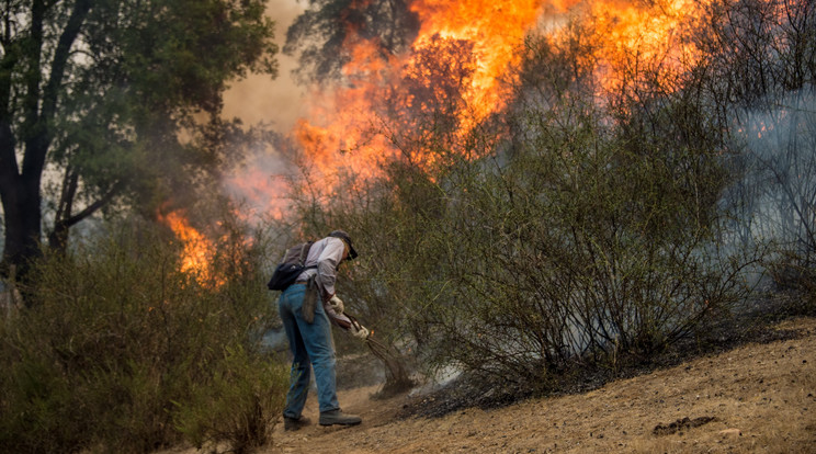 Az elmúlt évtized legpusztítóbb tűzvésze tombol Chilében / Fotó: AFP