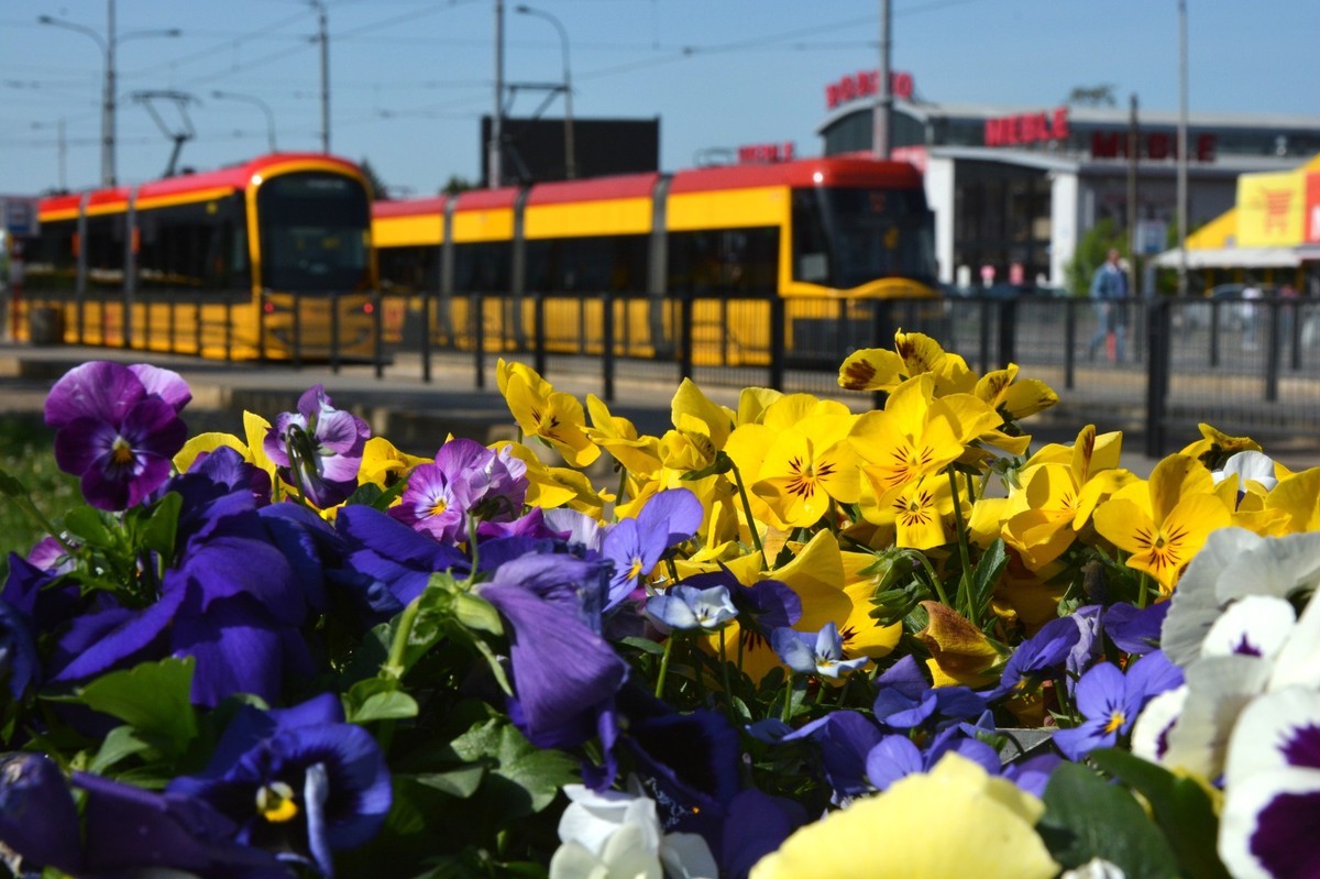Od 01 lipca w Warszawie będzie obowiązywać strefa czystego transportu