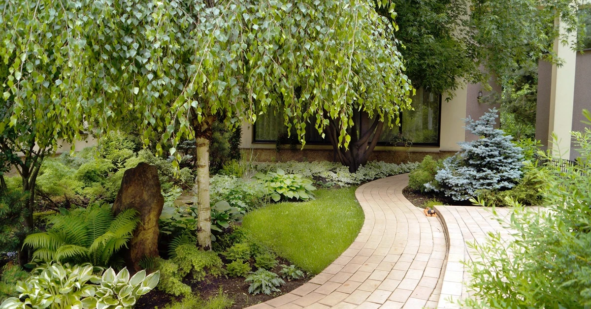 Jakie drzewa do małego ogrodu? 5 pomysłów