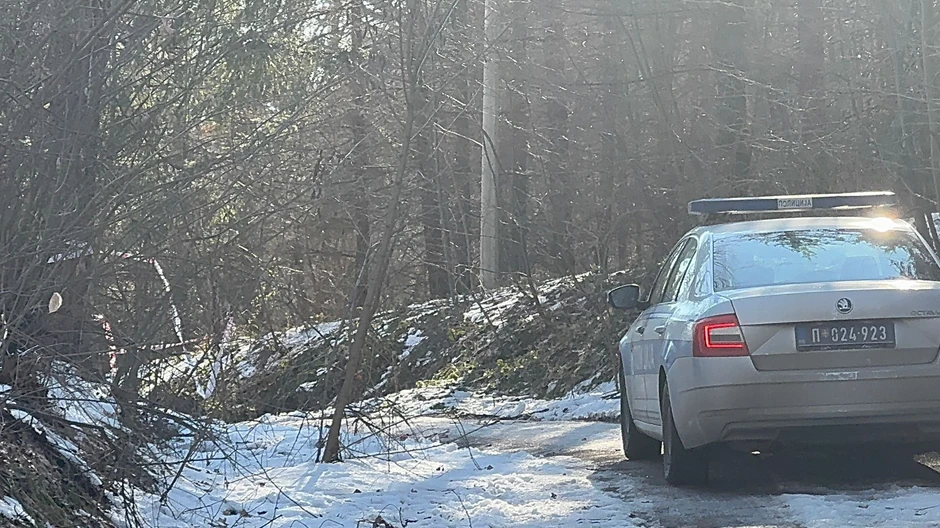 Mesto ubistva  Živka Bakića,  jezero Trešnja