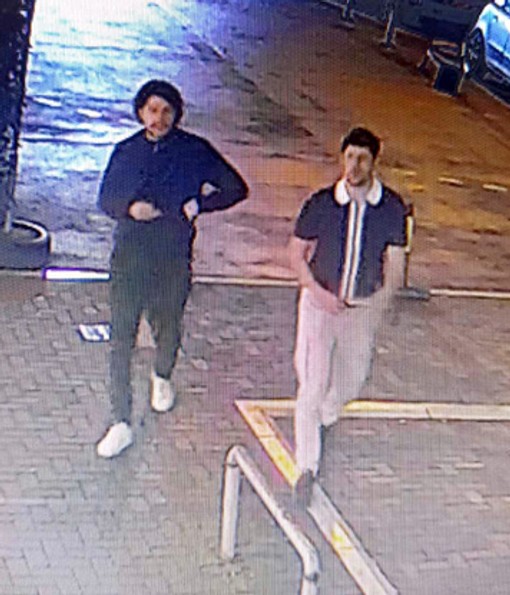 Vasilije Gačević i Marko Daničić