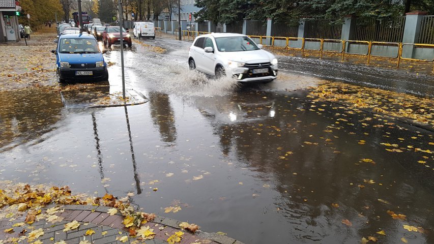 Wichura nad Olsztynem. Na al. Wojska Polskiego na volkswagena spadło drzewo