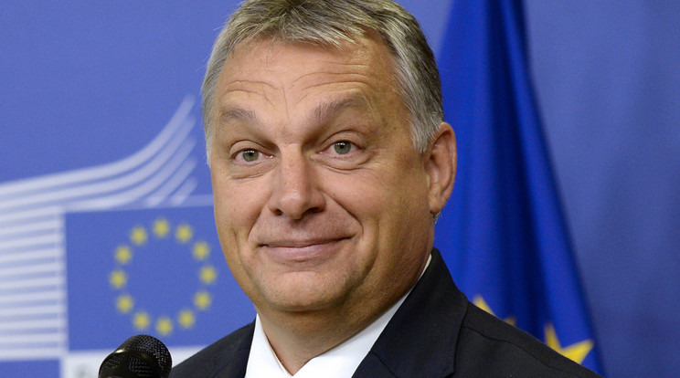 Orbán Viktor gratulált az aranyérmes vízilabda-válogatottnak /Fotó: AFP