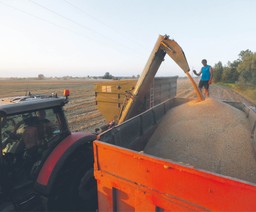 Rząd chce sam przedłużyć embargo na ukraińskie zboże