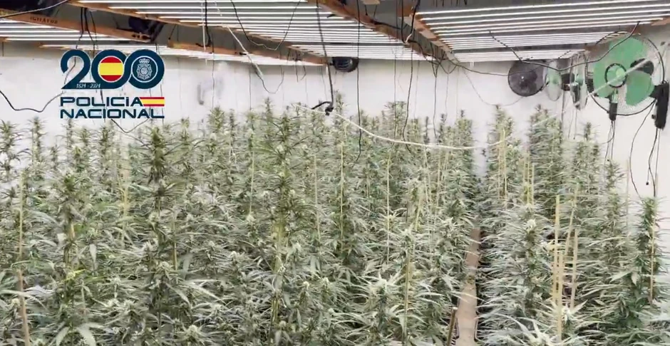 Velika akcija španske policije: Uhapšeni saradnici Darka Šarića 