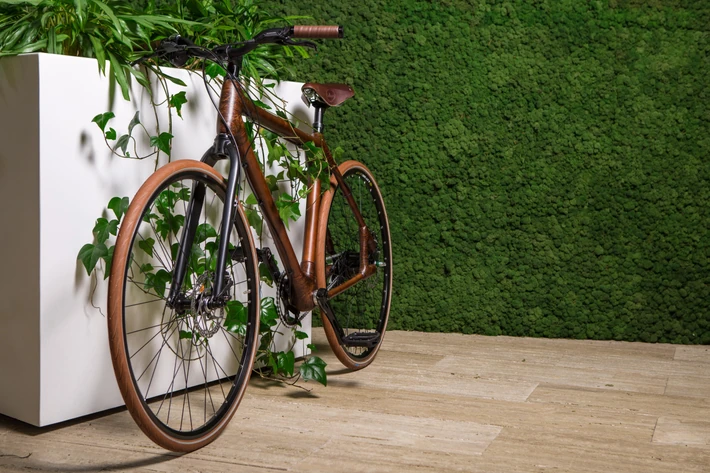 Asante Bamboo Bikes