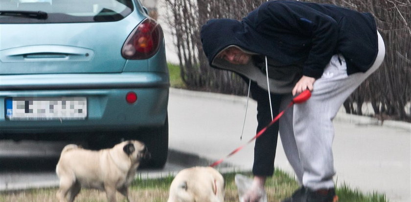 Polski aktor świeci przykładem i sprząta po psach. FOTO