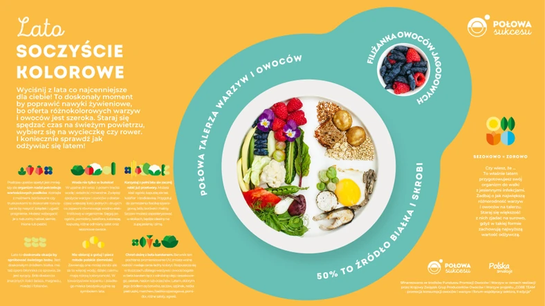 Infografika