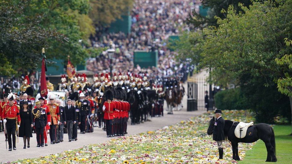 Psy i klacz zmarłej królowej czekały na nią na dziedzińcu zamku w Windsorze