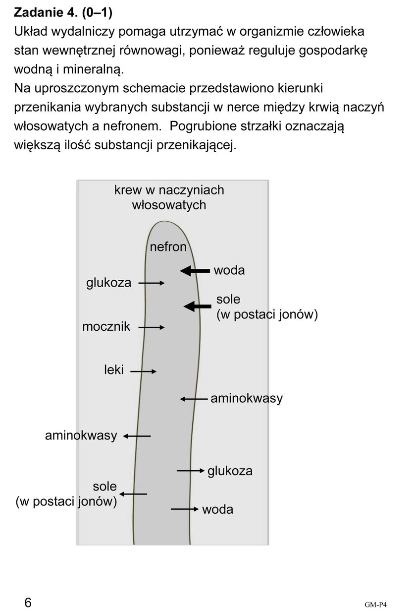 Egzamin Gimnazjalny 2018: Część matematyczno-przyrodnicza. Odpowiedzi i Arkusze CKE