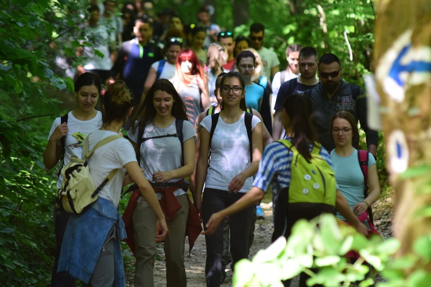 Fruškogorski maraton