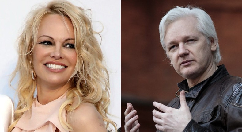 Pamela Anderson said she once joked about marrying Julian Assange on the front steps of the embassy where he sought asylum.Joel C Ryan/Invision/AP and Jack Taylor/Getty Images