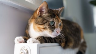 Koniec zamrażania cen. Koszty ogrzewania wzrosną. Rozwiązań systemowych nie ma, a pomoc dostaną tylko najbiedniejsi