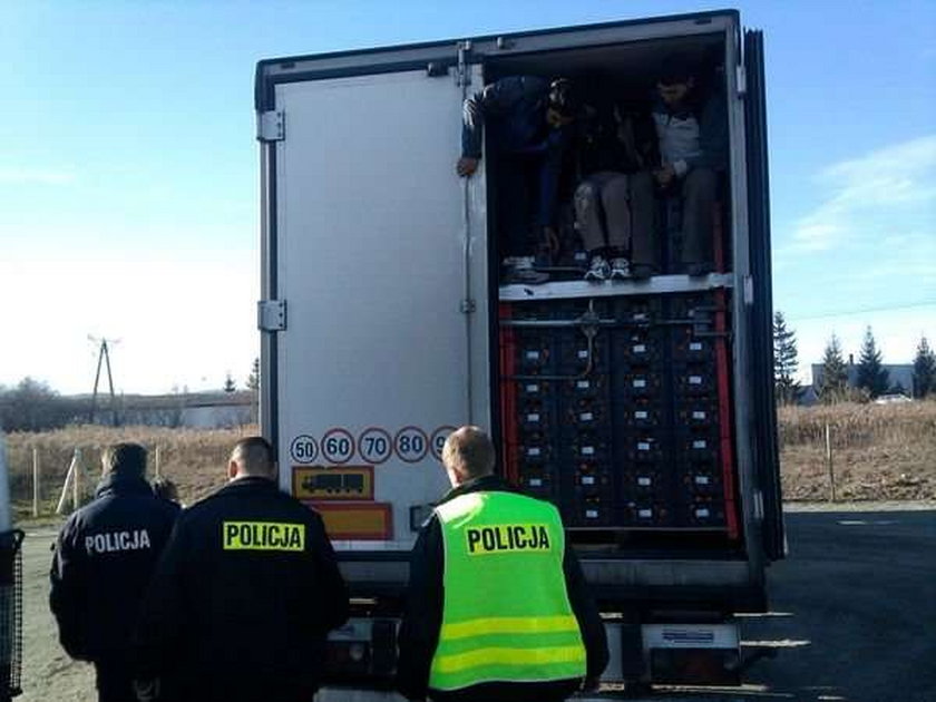 Afgańczycy jechali w transporcie mandarynek!