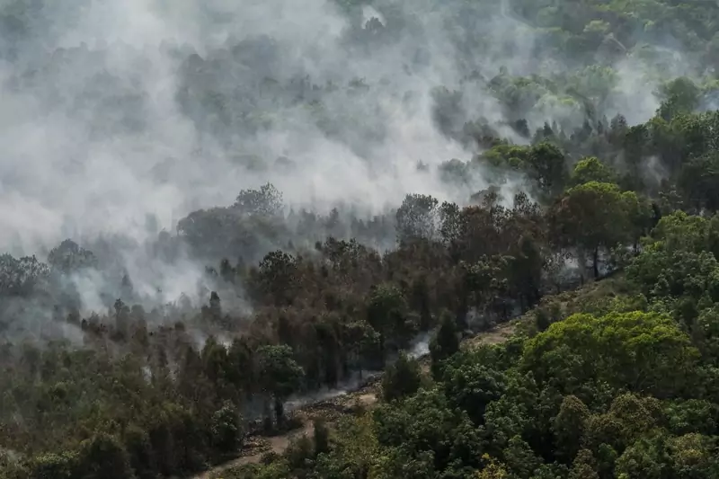 Pożary lasów w Indonezji. Zdjęcie wykonane 19 września 