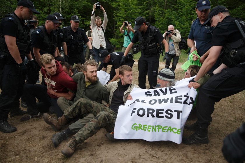 Protestowali w obronie Puszczy Białowieskiej. Policja skierowała wnioski o ich ukaranie do sądu