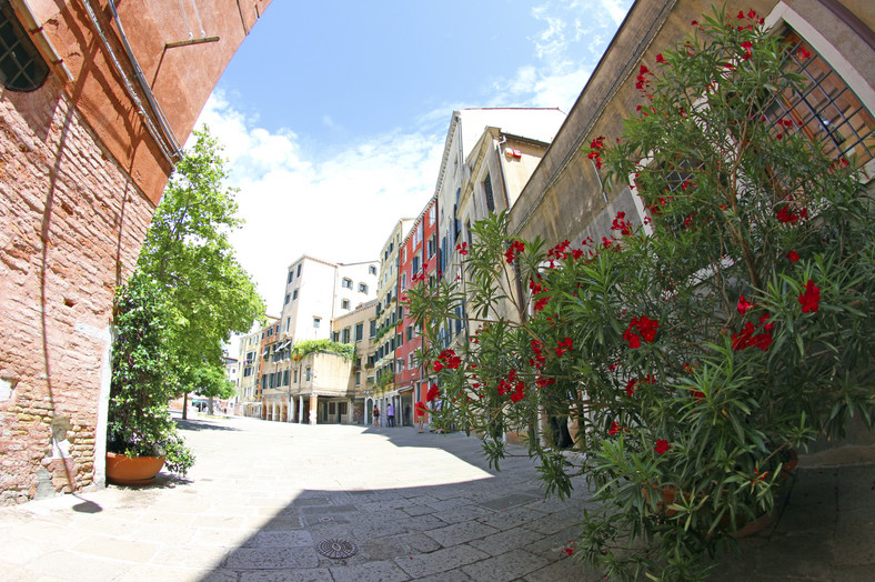 Ghetto Nuovo, Wenecja