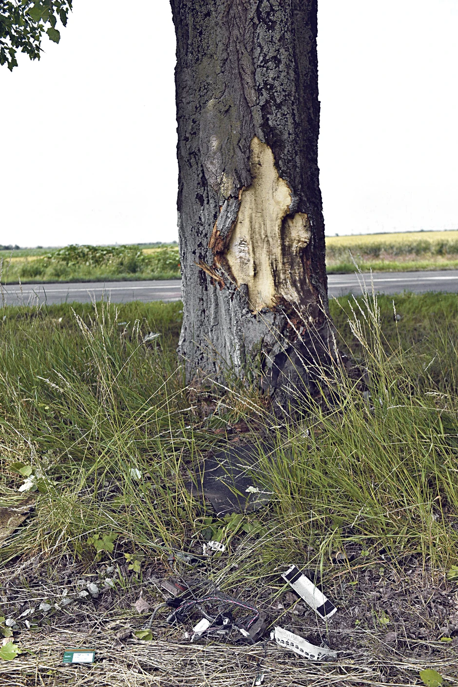 Automibil je udario i u dva drveta 